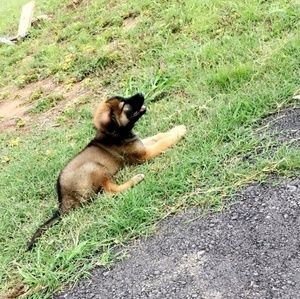 Meet your Posher, Sarai